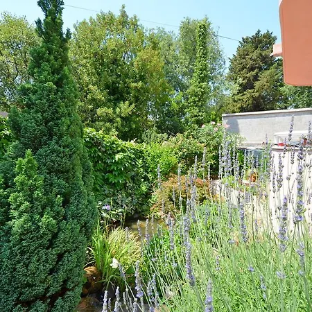 Apartmán Snjezana
